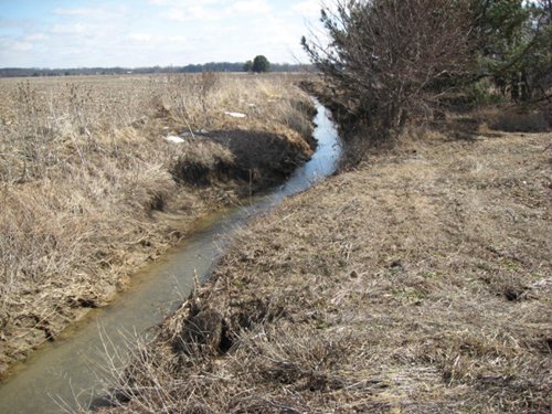 Property photo 24 - 127 Acres Offered in 4 Tracts
